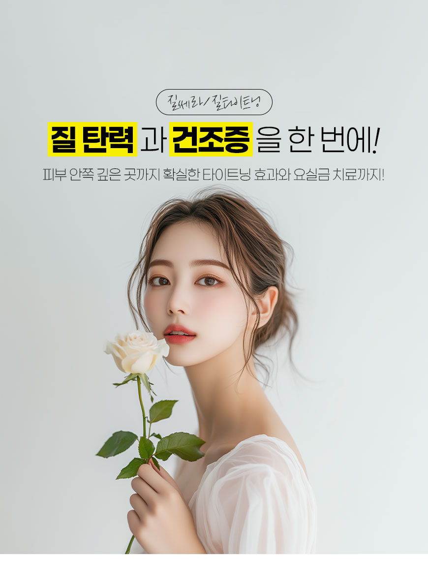 배너 이미지